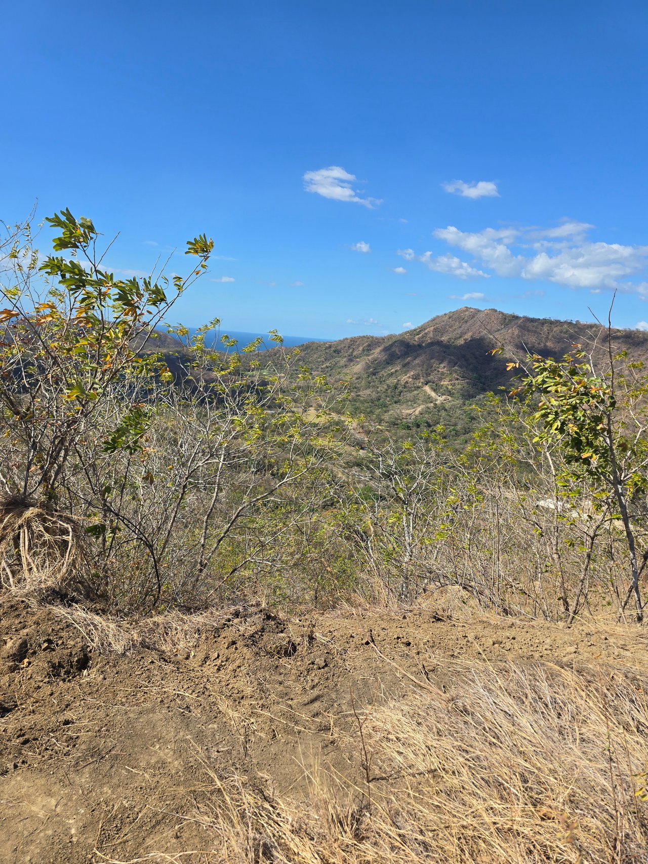 Vista Miramar Estate Lot, Pacific Heights