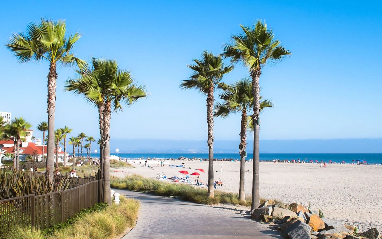 Ocean Beach