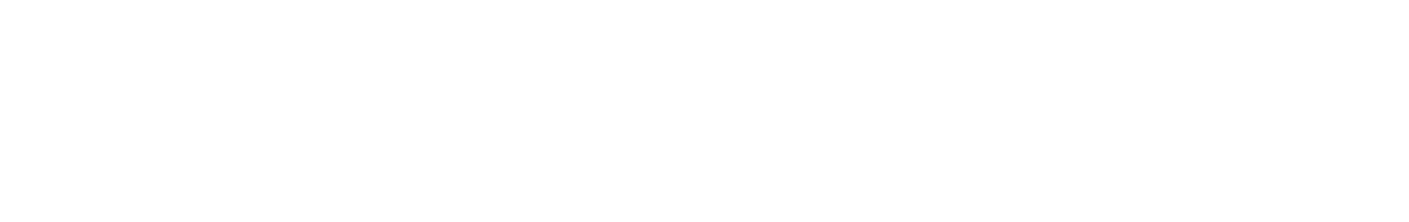 Light Logo
