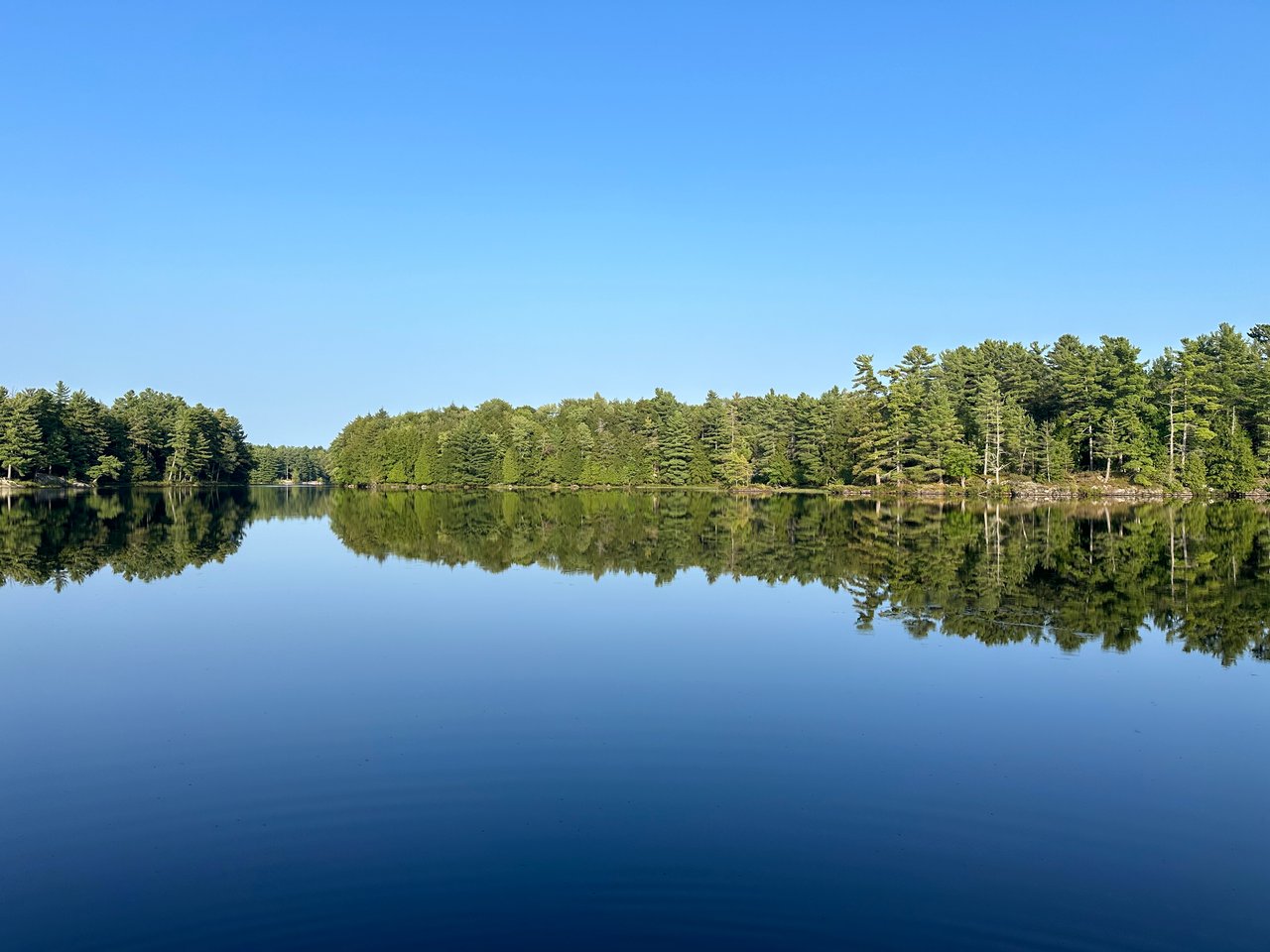 Camel Lake