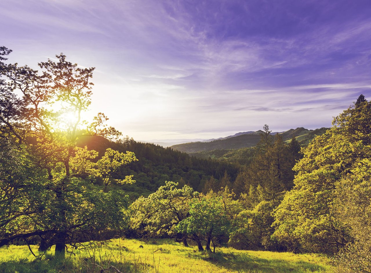 Sonoma County