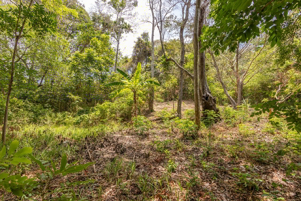 2.27 Acres close to Main Rd, Dixon Cove