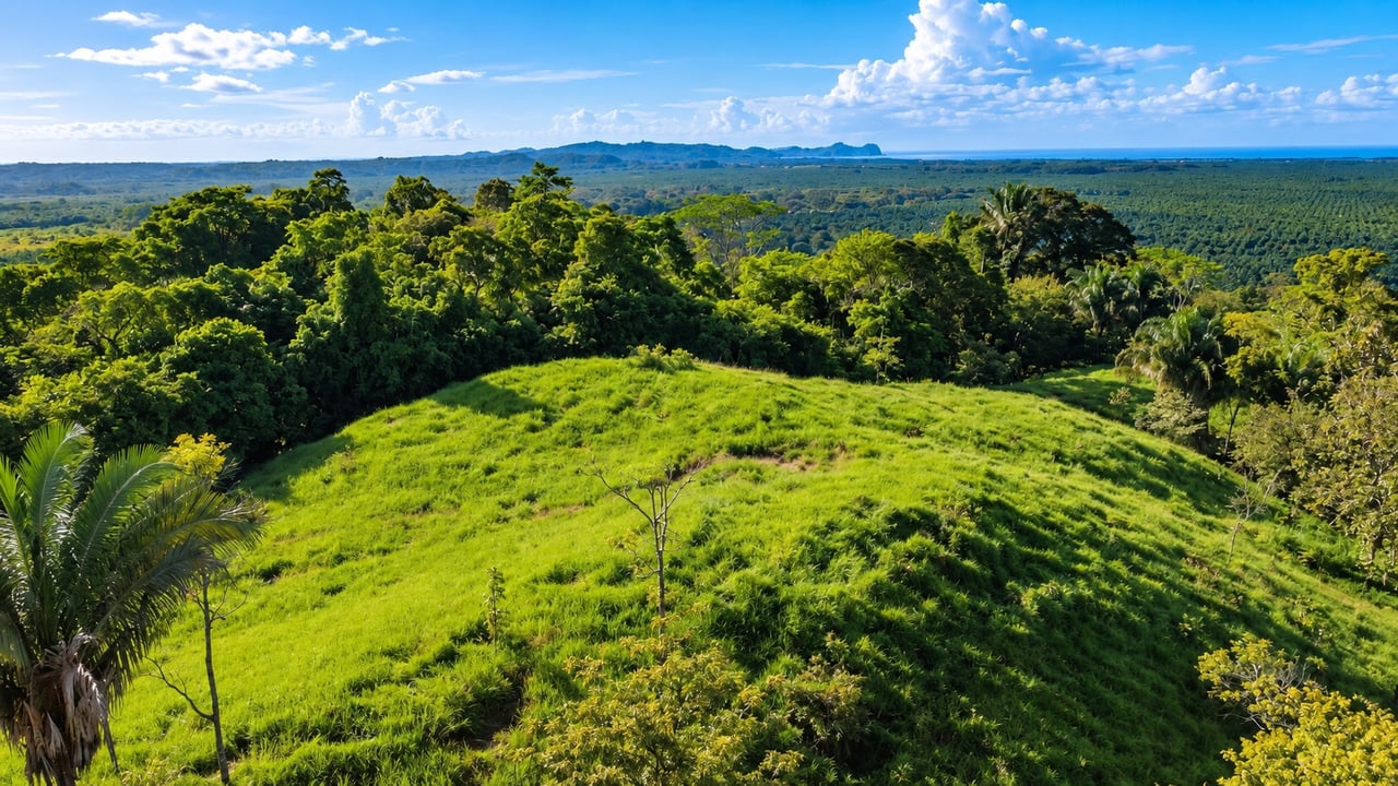 Vista Grande, 235 Acres with 6 bed home and Pool, (HUGE PRICE REDUCTION)