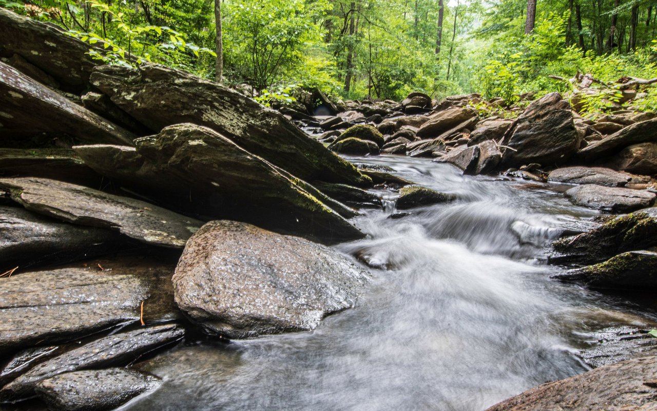 A rocky woodland creek tumbles over smooth stones beneath a dense green canopy.