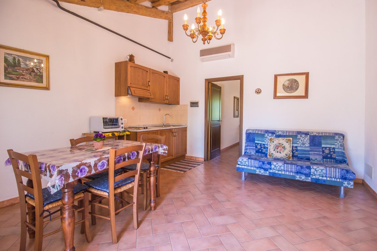 Organic Agriturismo in Cinigiano