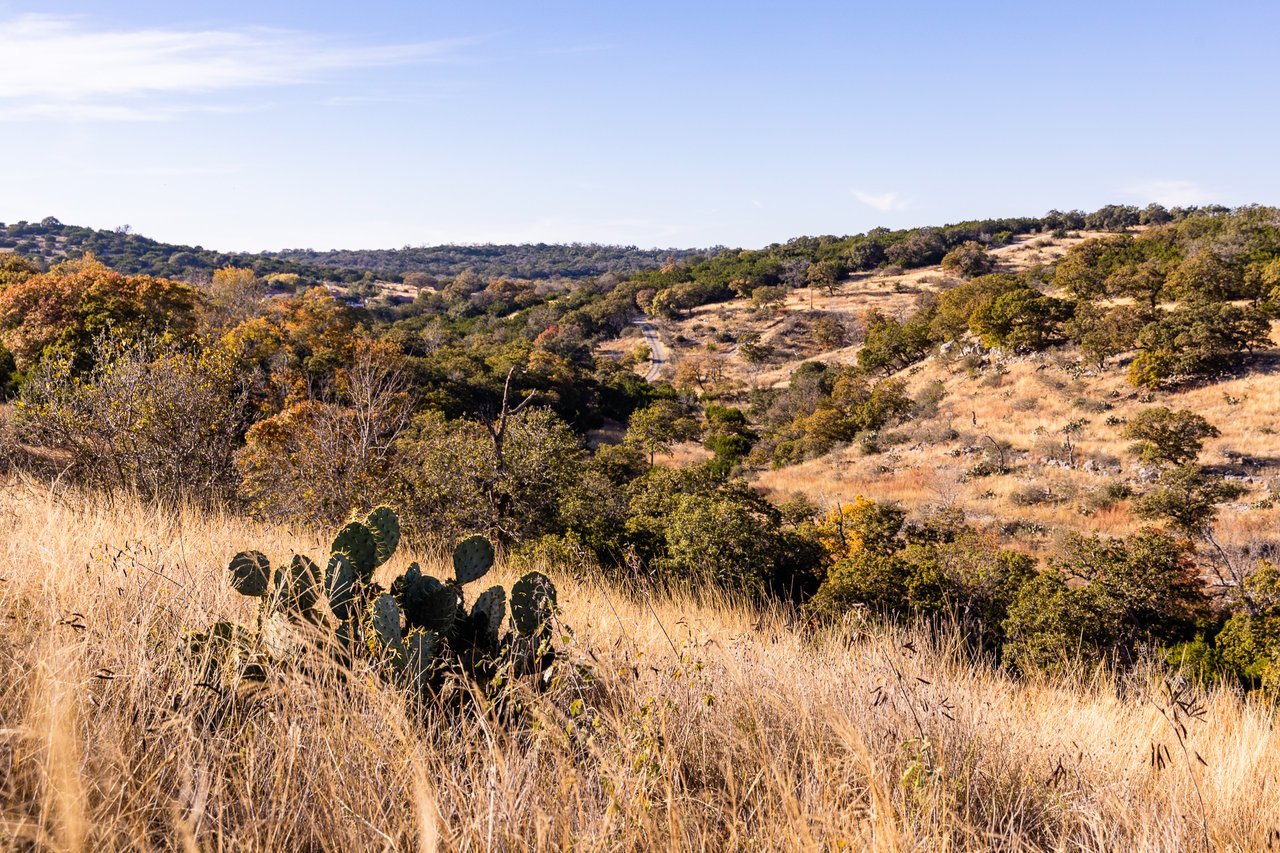 Tortuga Canyon Ranch