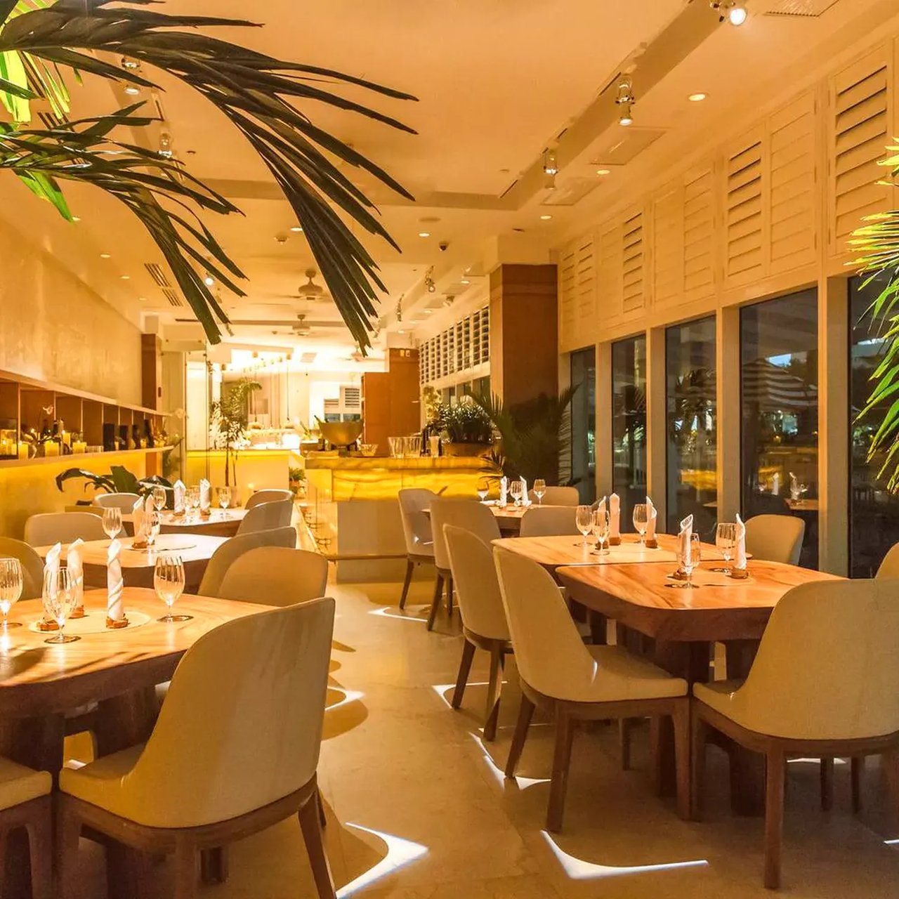 From Brickell to South Beach: Elcielo Miami's New Location is Turning Heads