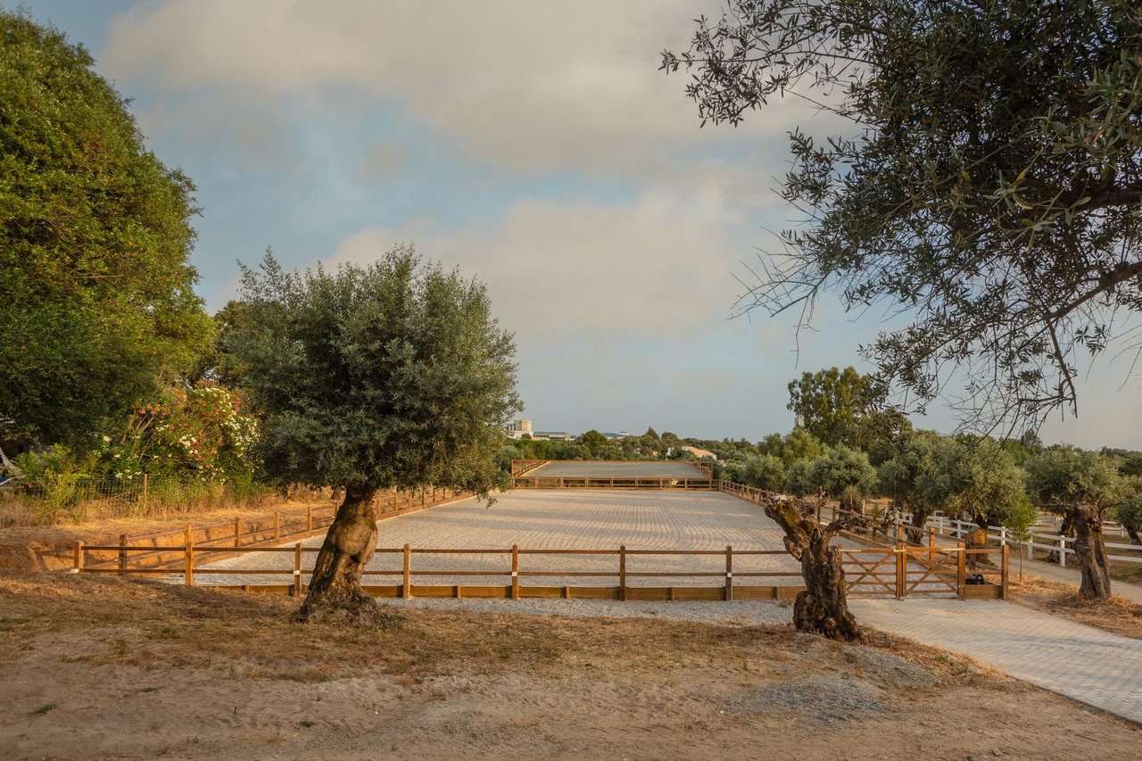 Magnificent and Grand Equestrian Estate in the Alentejo