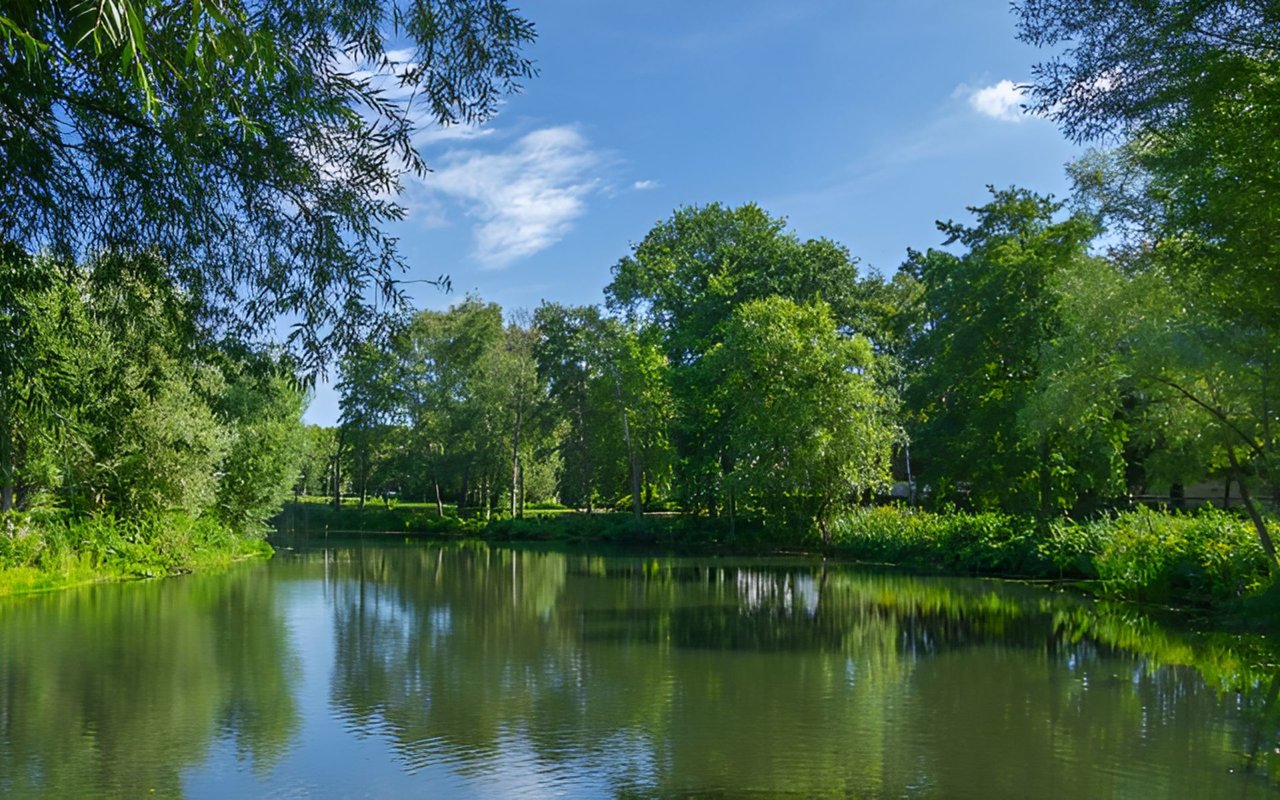 How to Find the Perfect Property in Pace