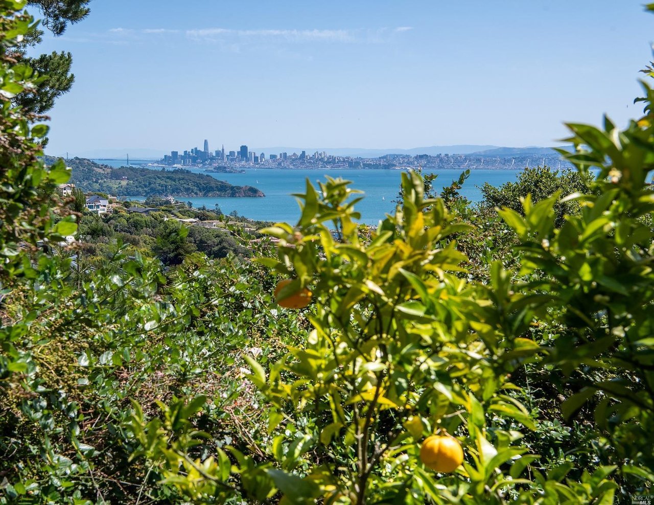 106 Mount Tiburon Rd