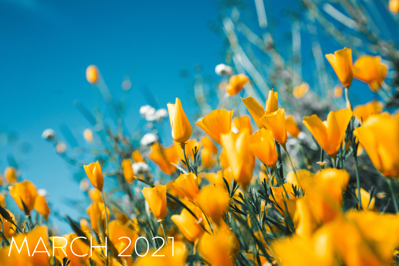 MARCH 2021 Newsletter