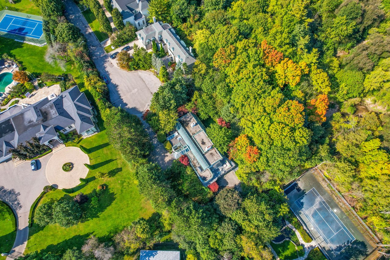 Extraordinary Forest Lot