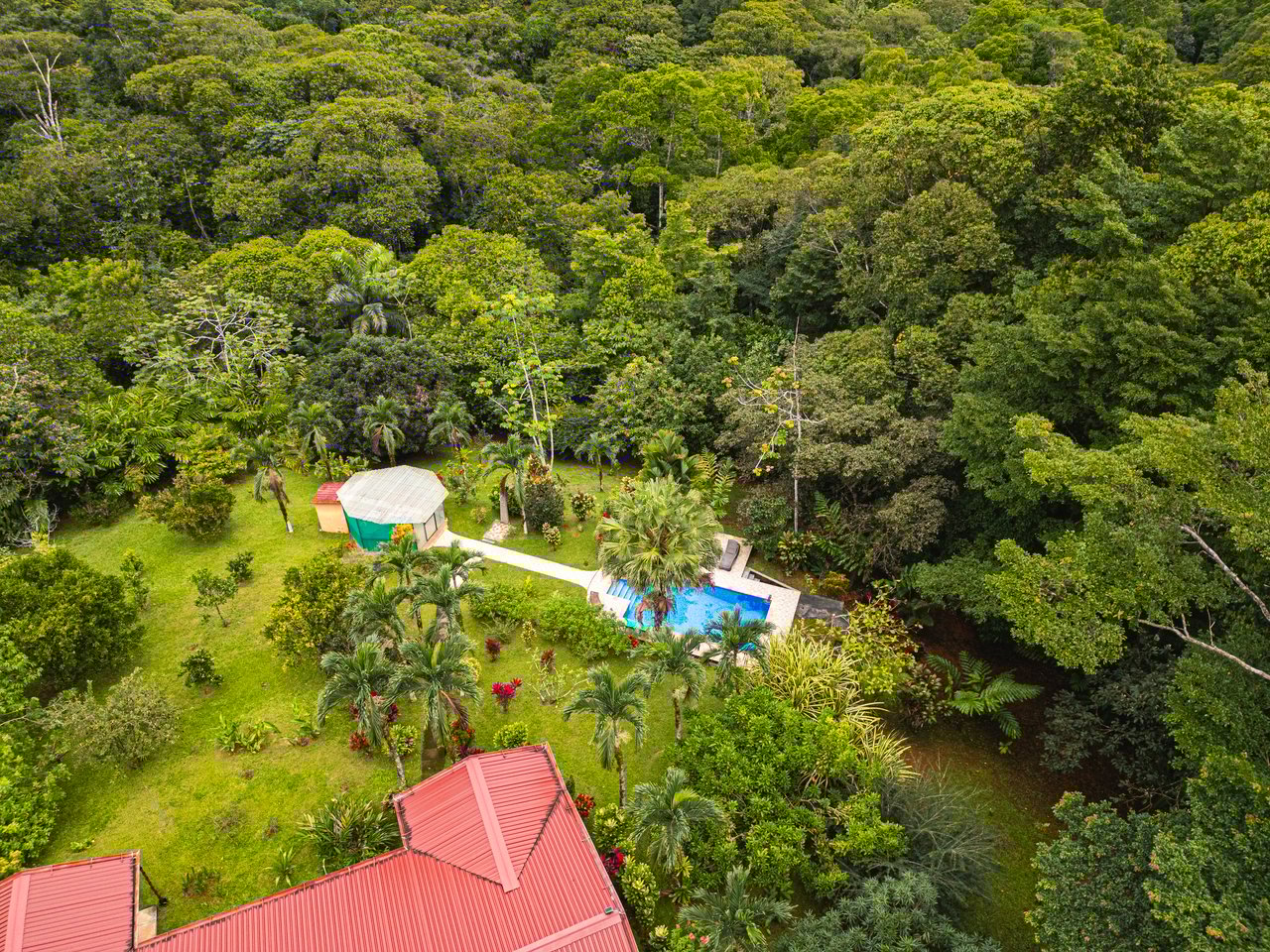 Serene Costa Rican Jungle Retreat with Waterfalls & Wildlife