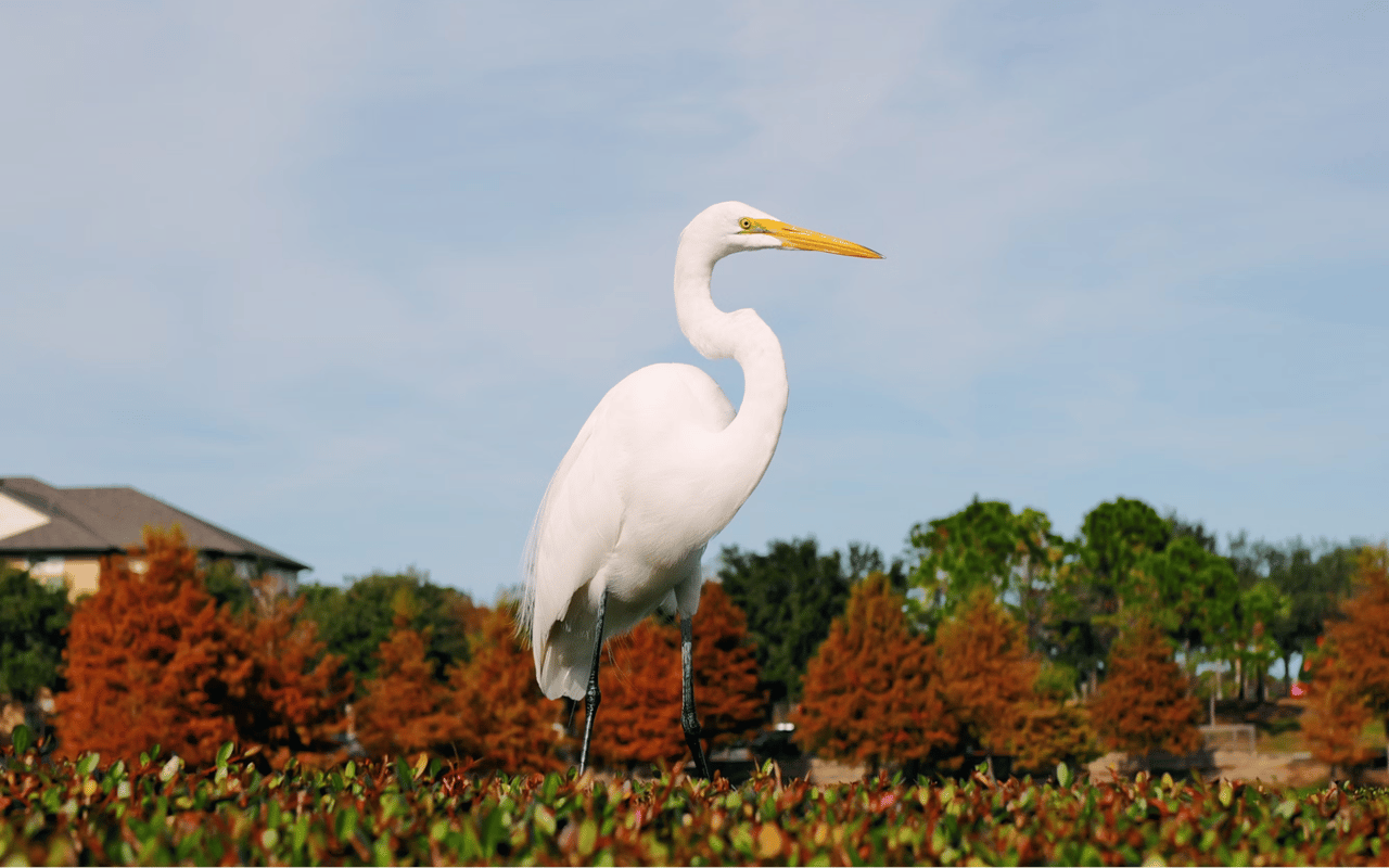 A Guide to Oviedo Parks: Where Nature, Recreation, and Community Come Together
