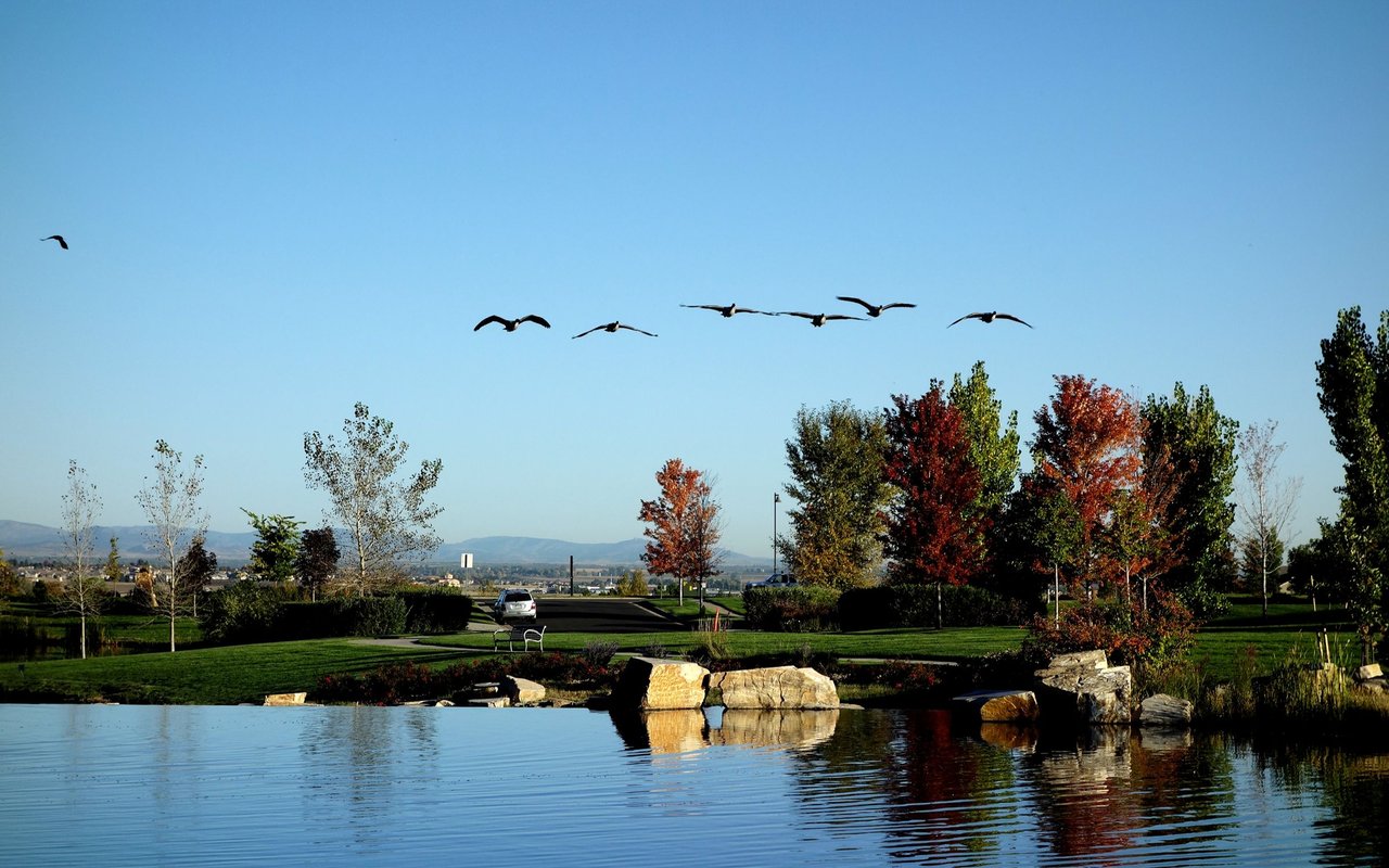Broomfield