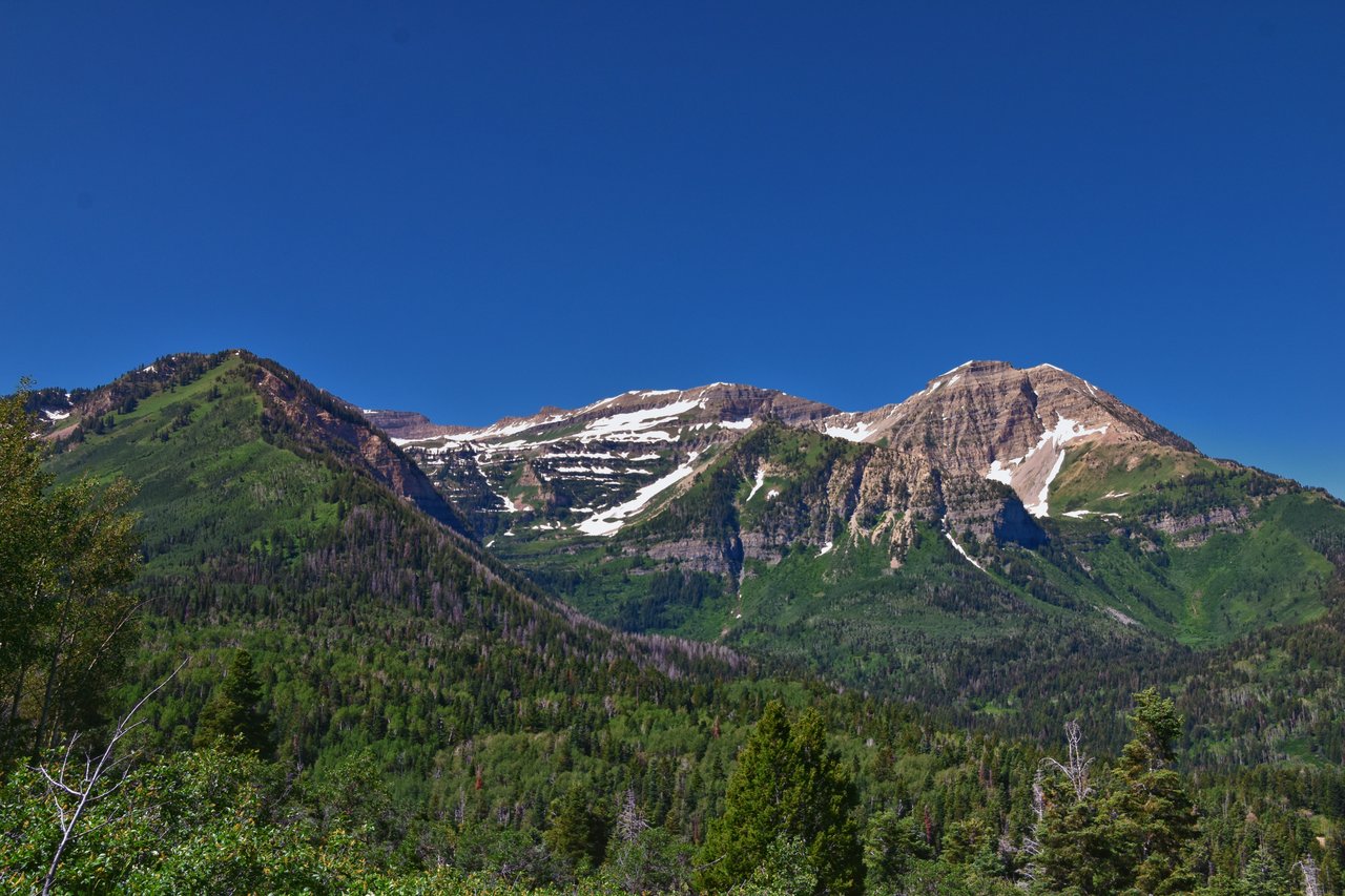 Pinebrook Commons Homes with Storage Exterior Features