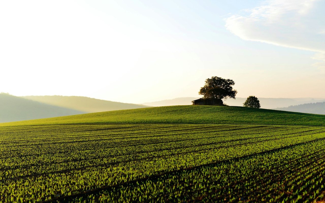 Experience Loudoun County’s Rich Agriculture by Visiting These Local Farms
