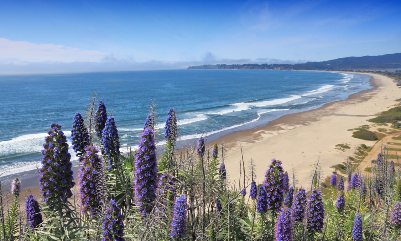 STINSON BEACH
