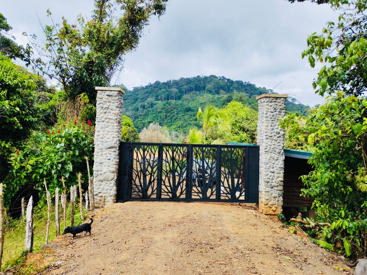 Off-Grid Mountain & River View Estate — 4.94 Acres | Sea Views | San Cristóbal de Aguirre