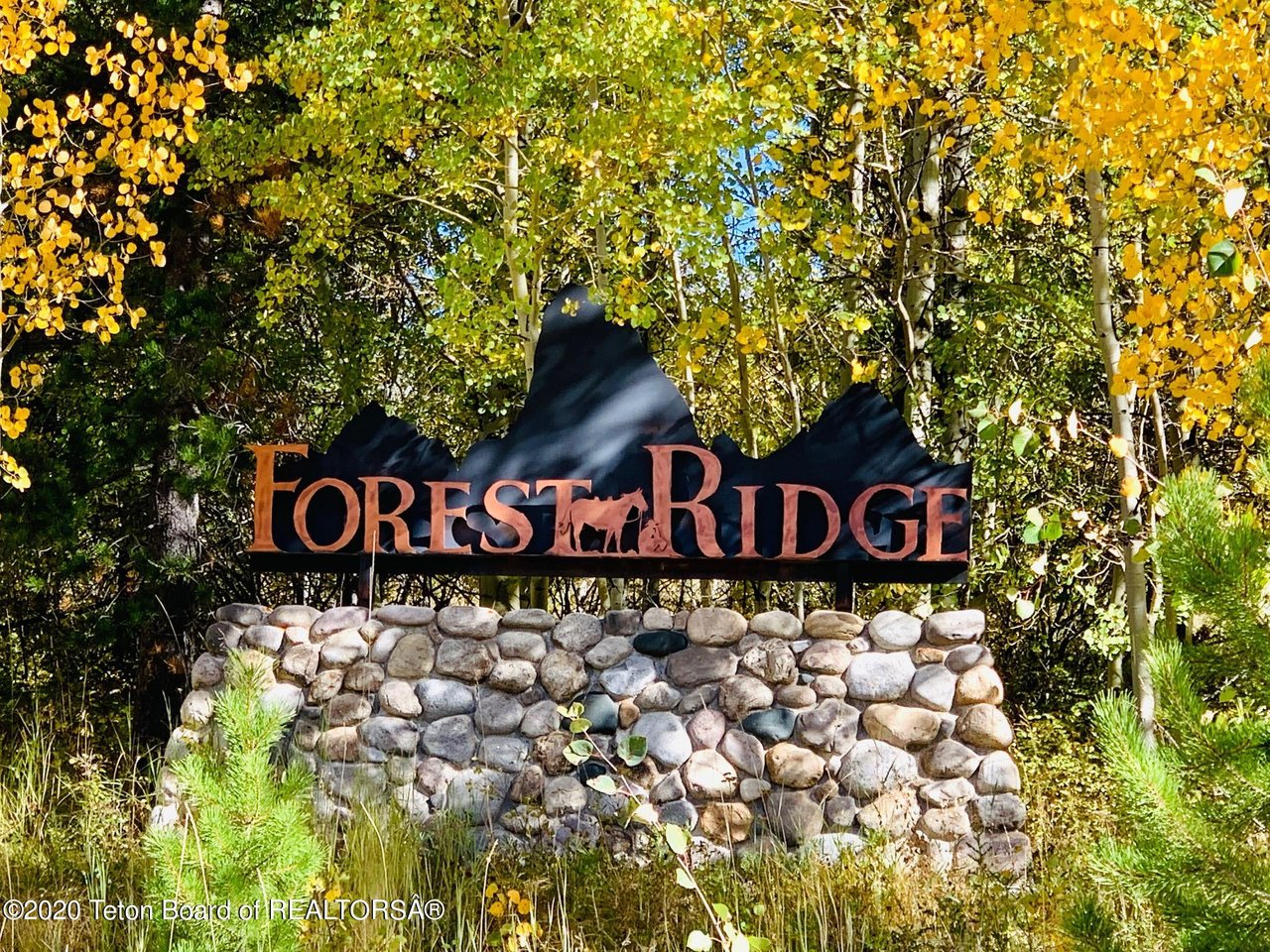 5466 Needle Leaf Ln