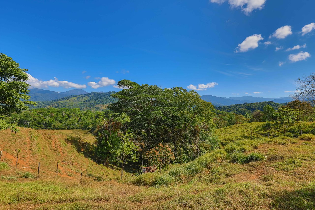 Hacienda-Style Retreat For Sale in Naranjito