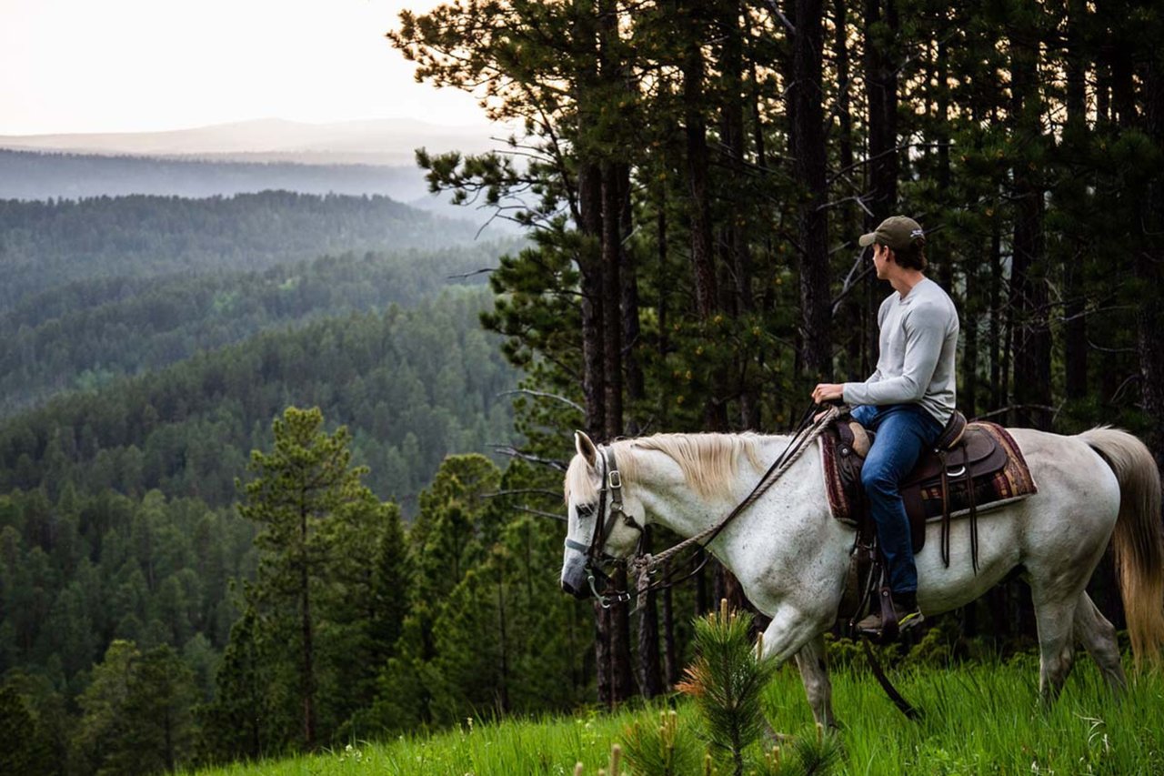 A man riding a white horse along a grassy ridge overlooking dense pine forests in the South Dakota Black Hills.