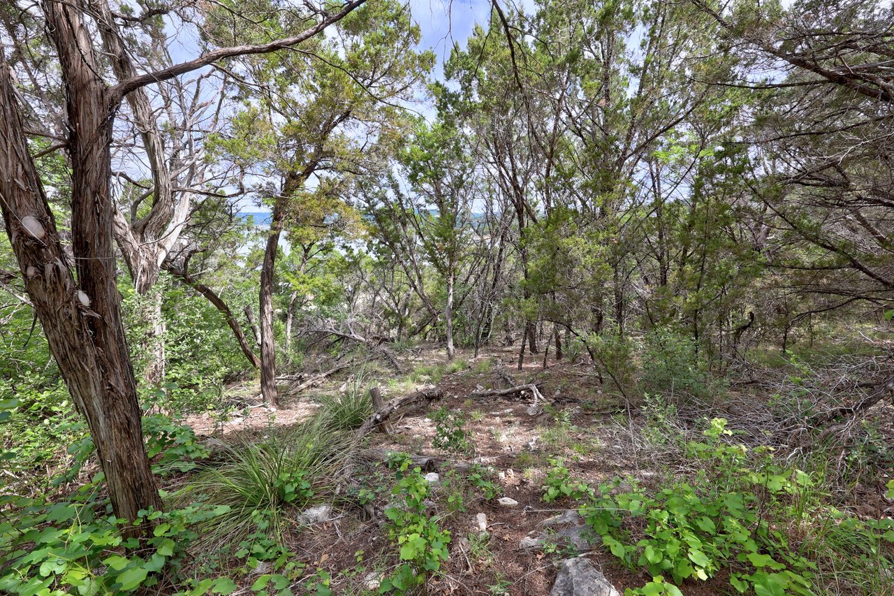 9006 Lime Creek Road 