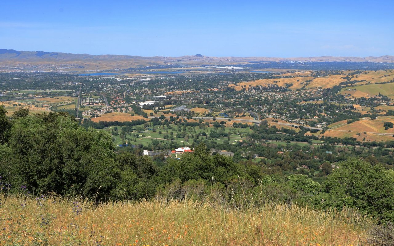 Pleasanton Hills