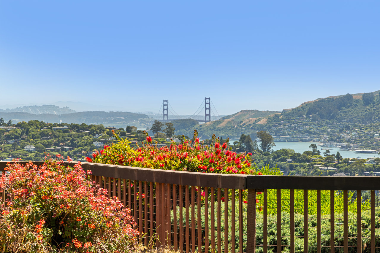 Incredible Backyard with San Francisco Bay Views and Pool