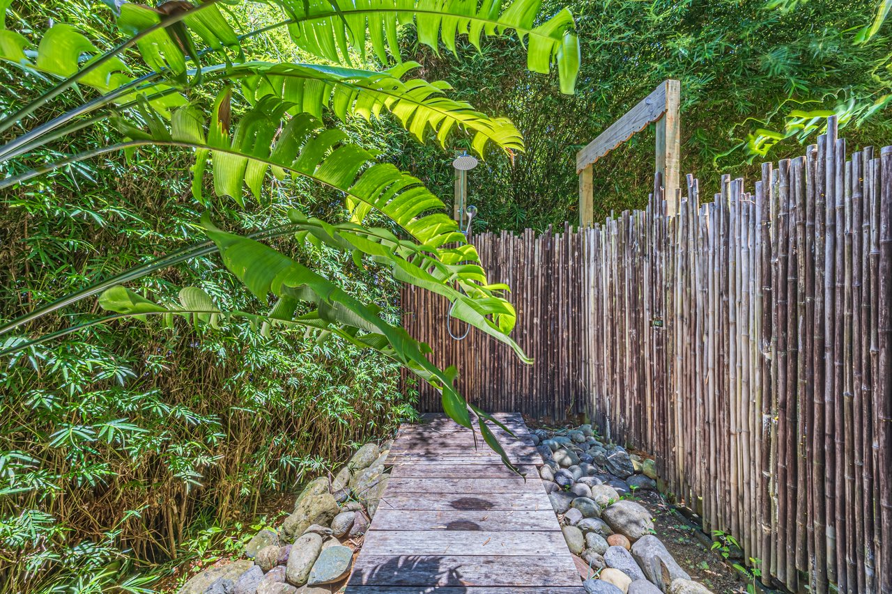 2.56 ACRES – 3 Bedroom Artistic Architectural Masterpiece, Recording Studio, Ocean View, Pool, 1 Bedroom Guest House!!!