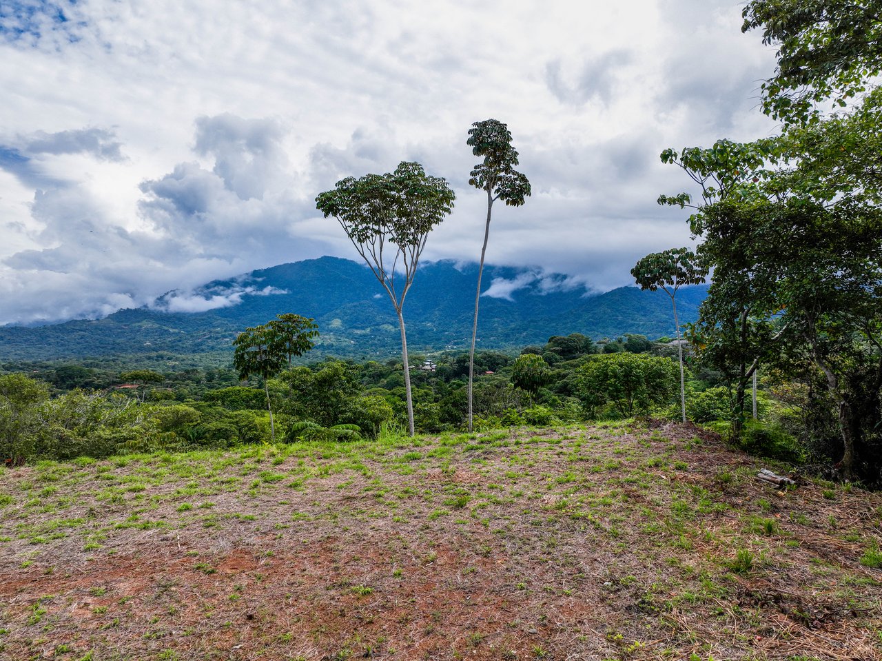 Ocean, Mountain View Ready to Build Lot on Desired Calle Perezoso