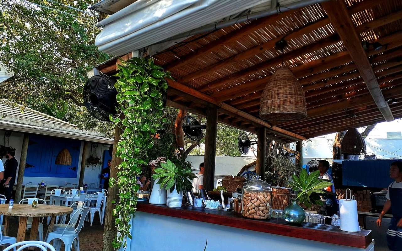 Best Places in Manatee County to Grab a Drink