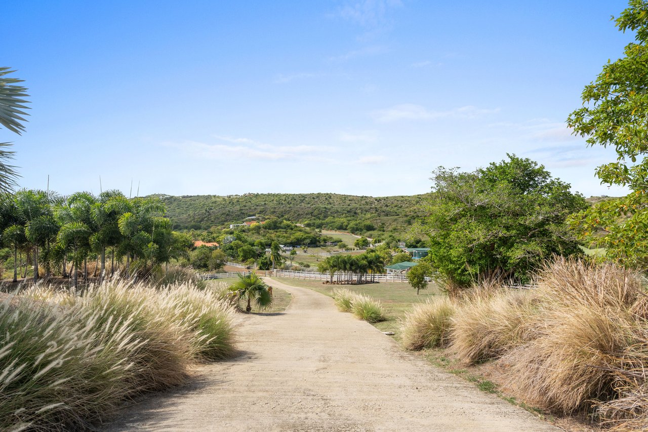 Casa Las Pelás, Culebra
