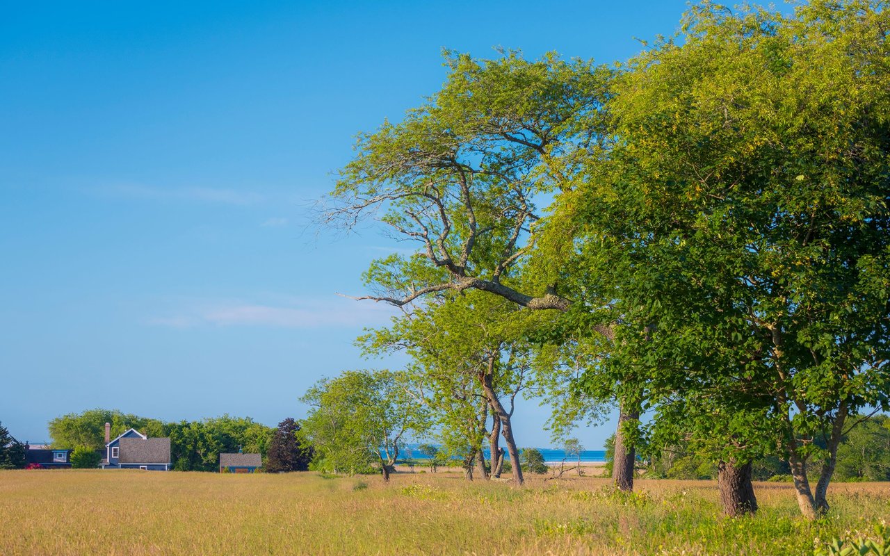 South Kingstown