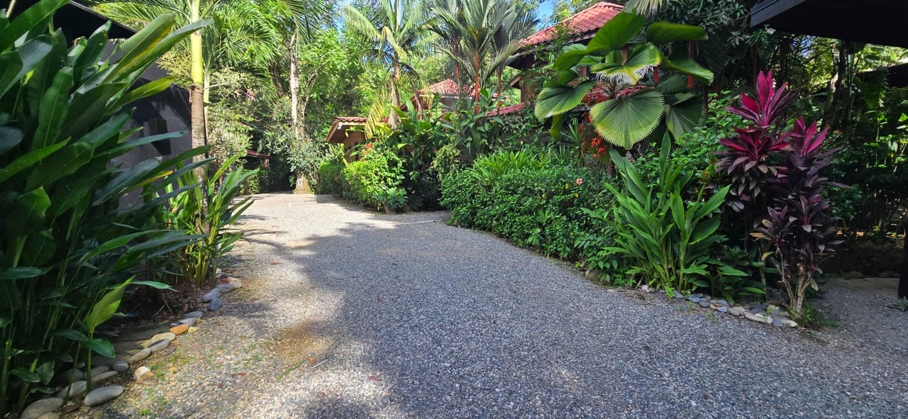 FIRE SALE ! Beautiful hotel in the heart of Ojochal, in Costa Rica’s most desirable areas.