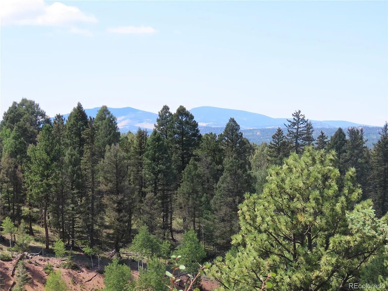 1051 Spring Valley Ln