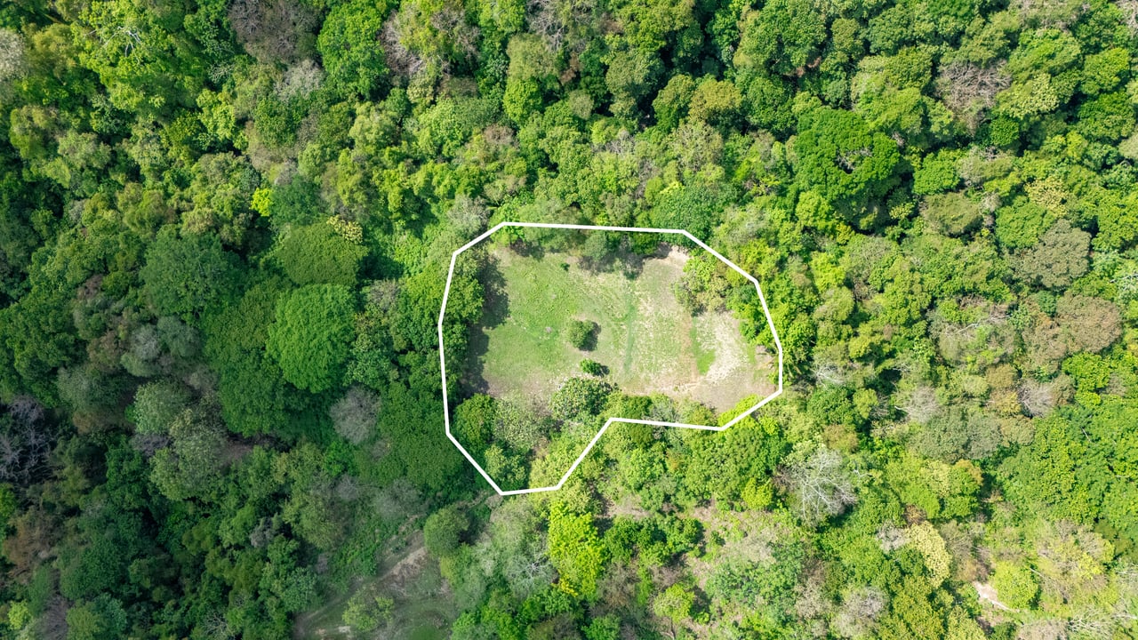 Prime Jungle Retreat with Sunset Views – Build Your Dream