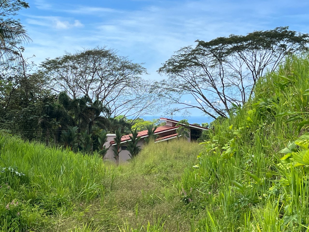 Peaceful Paradise Land in Ojochal with Budget-Friendly Options