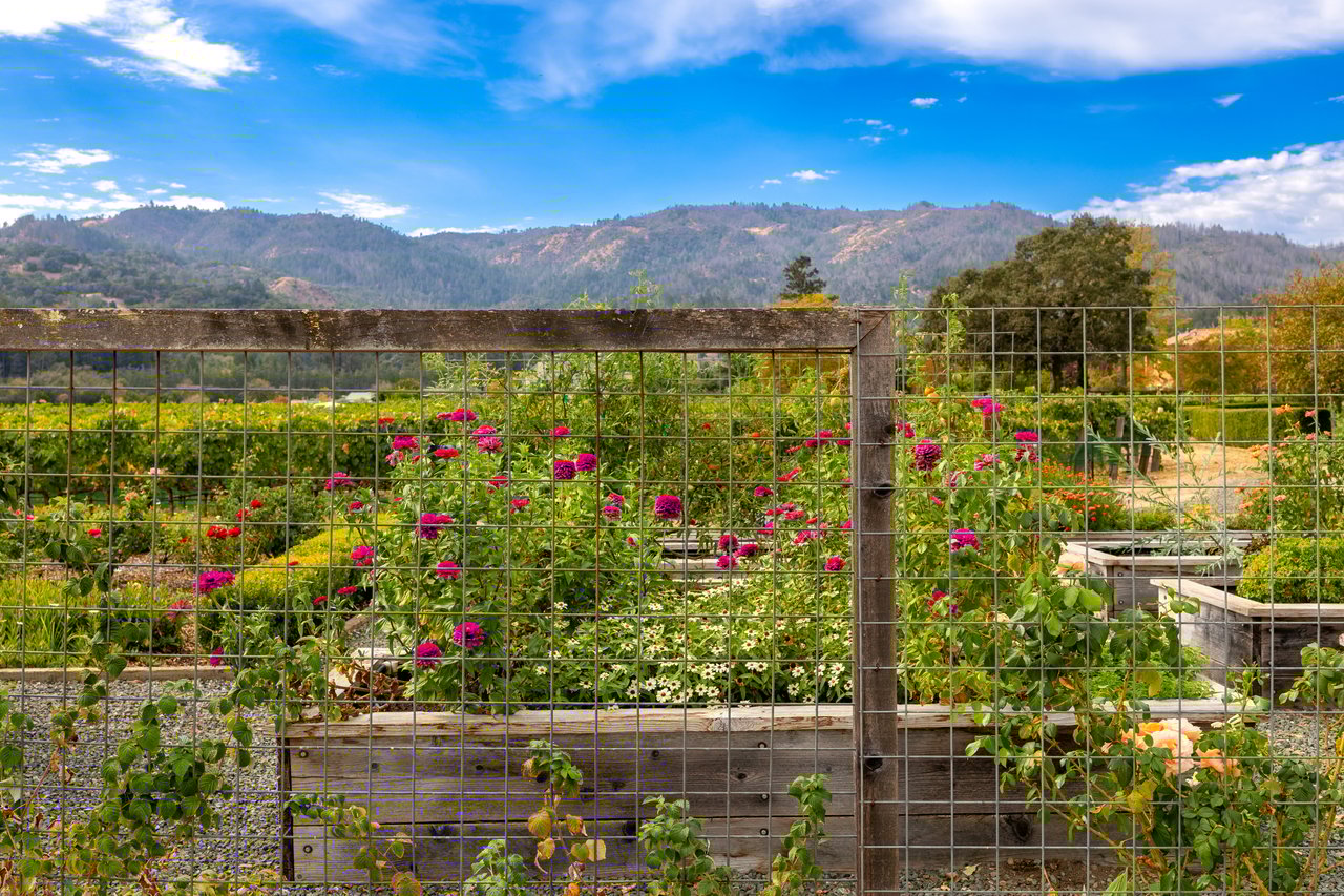 Vineyard View, St. Helena