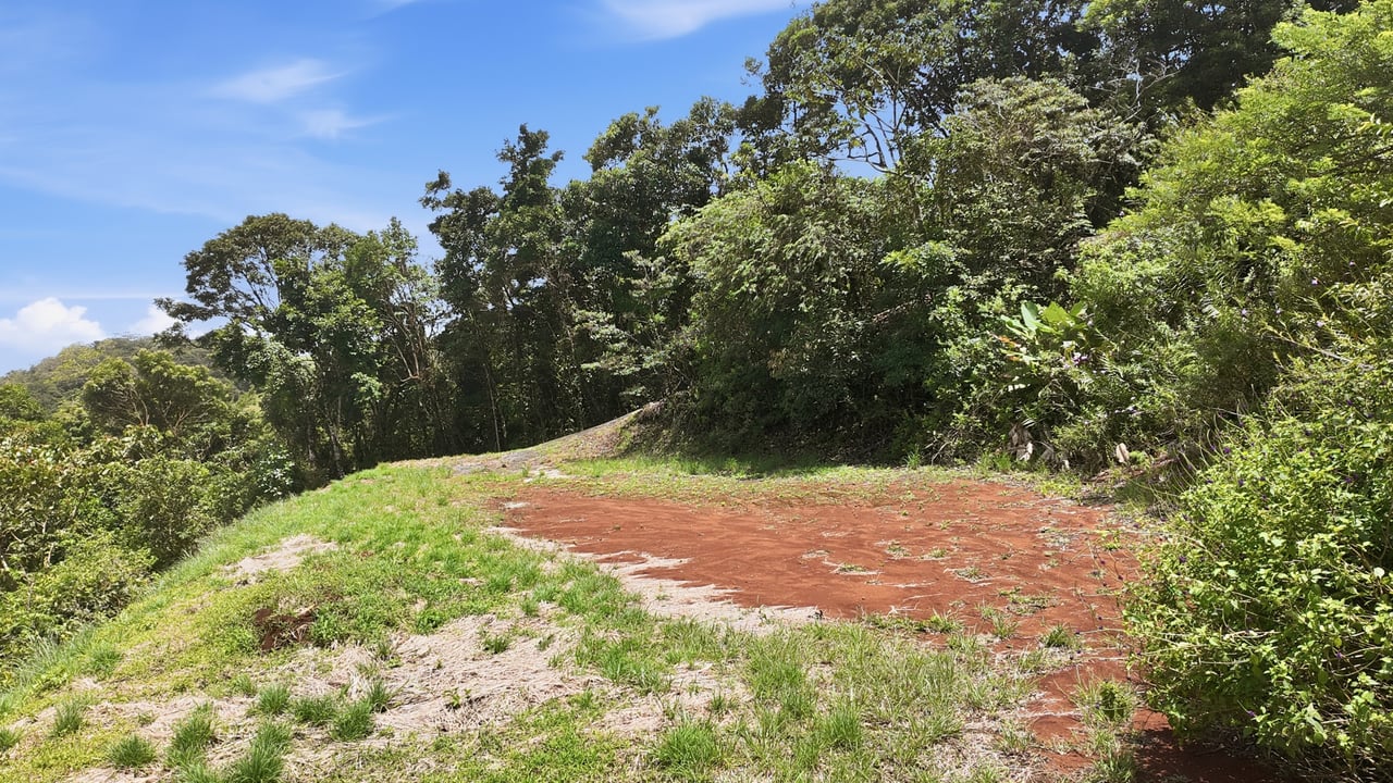 LAKEFRONT LOT - TURTLE COVE - LAKE ARENAL 