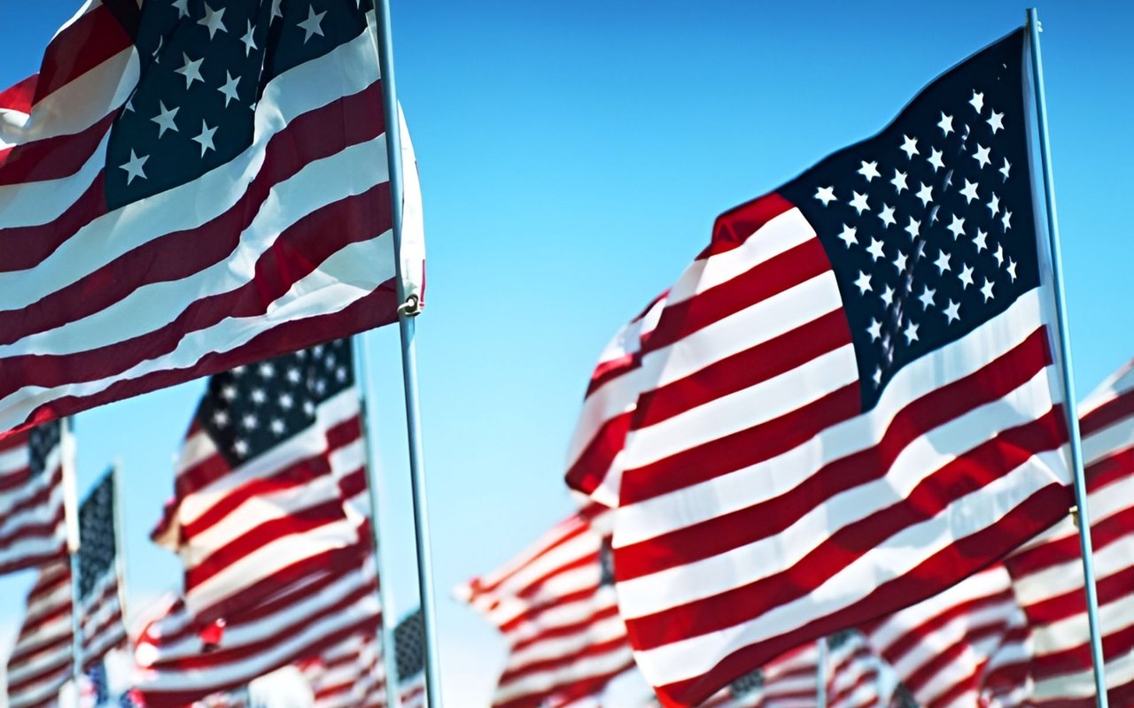 Top 10 Veterans Day Facts