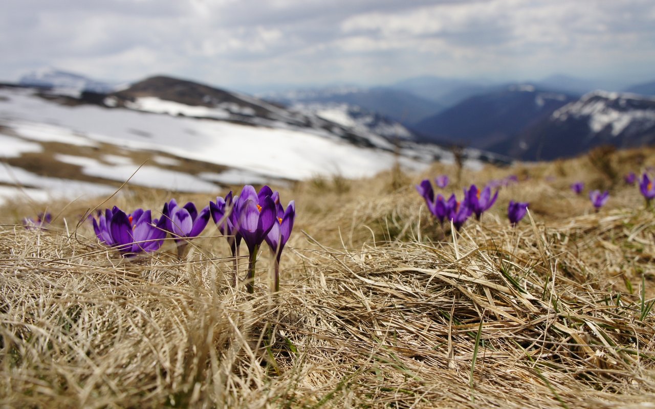 6 Reasons Why Spring is the Best Time to Sell Your Colorado Home
