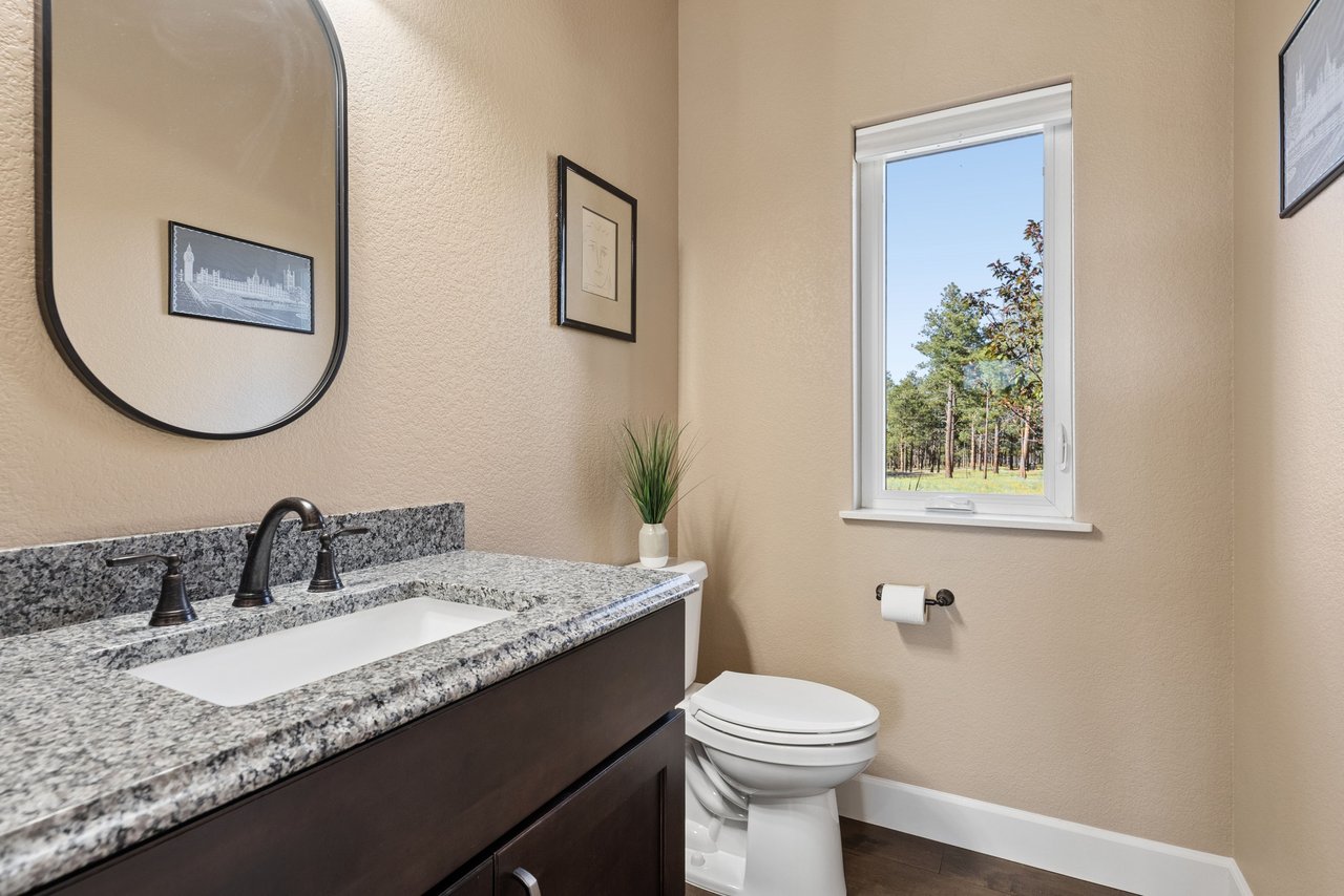 14894 Snowy Pine Point