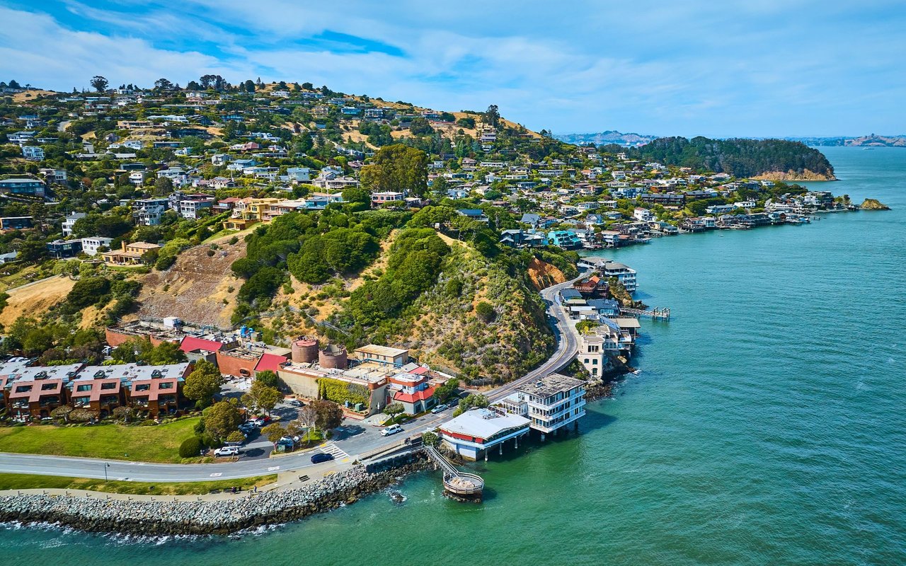 Tiburon