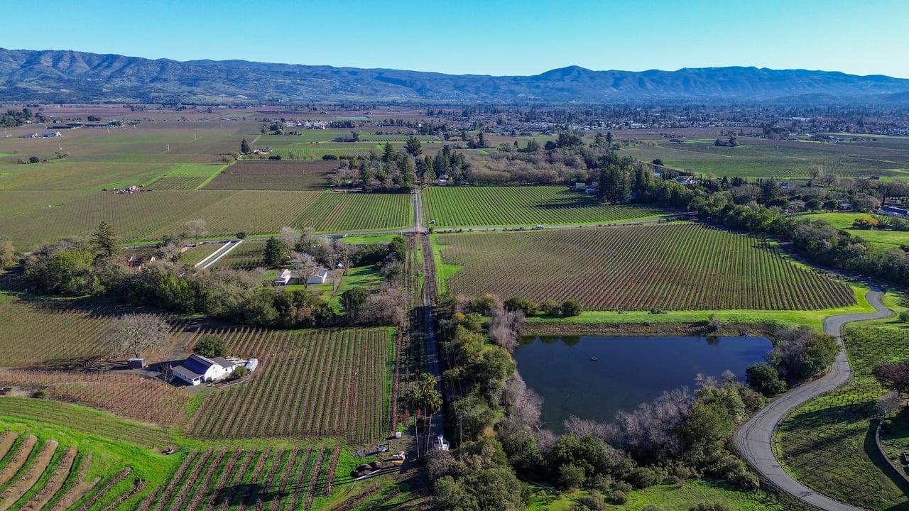 Dry Creek Road, Napa Valley
