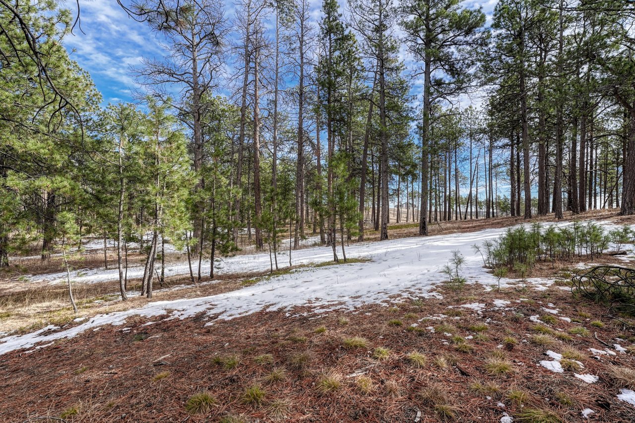 14425 Black Forest Road