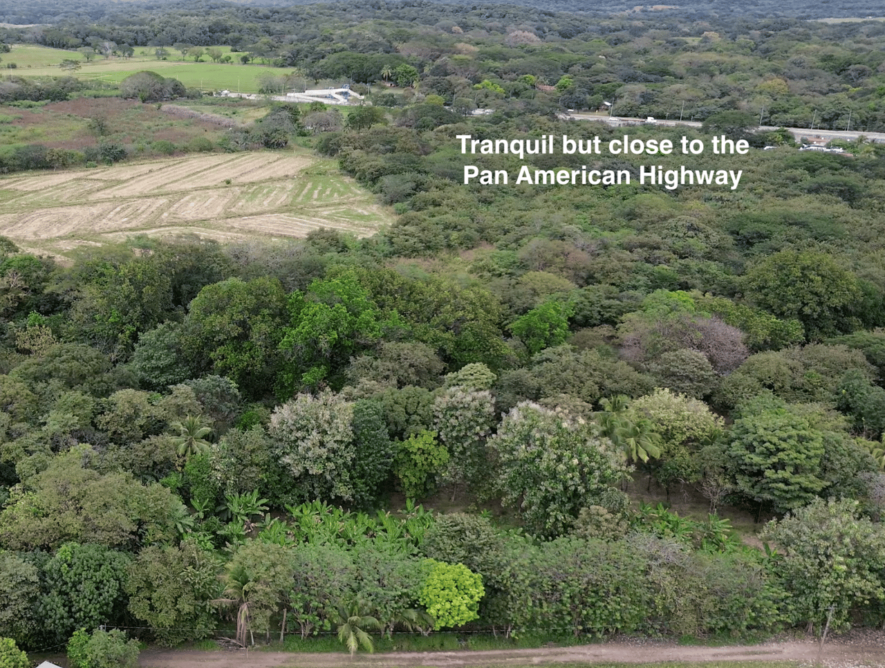 Riverside 7-acre Parcel with Well and Fruit Trees