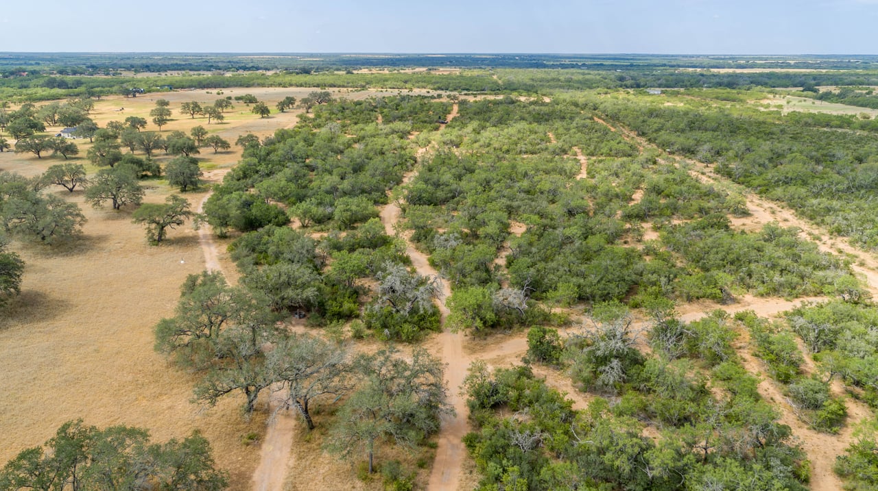 Oaks, Wildlife, & the Quiet of the Countryside | 26.99± Acres | Poteet, TX