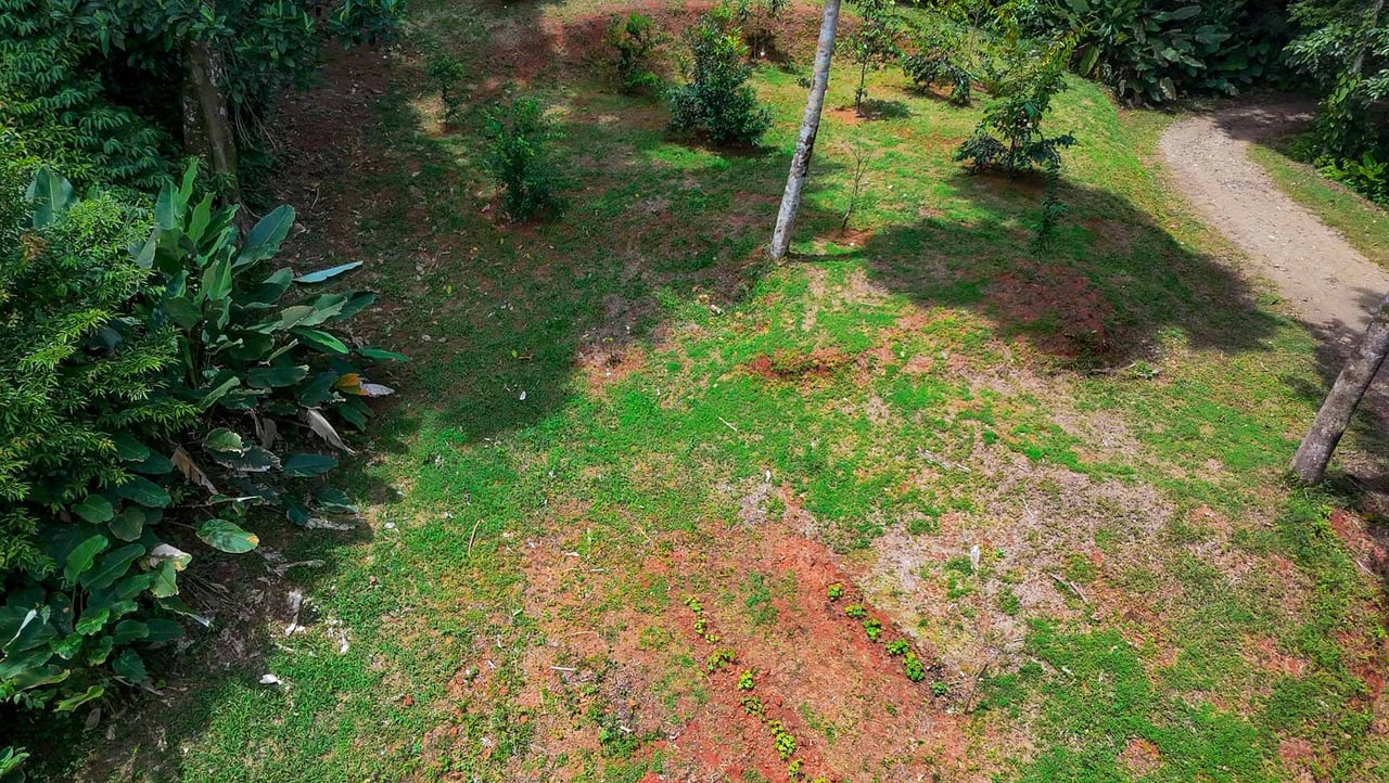 Jungle Home with Riverfront and Orchard in Ojochal Costa Rica