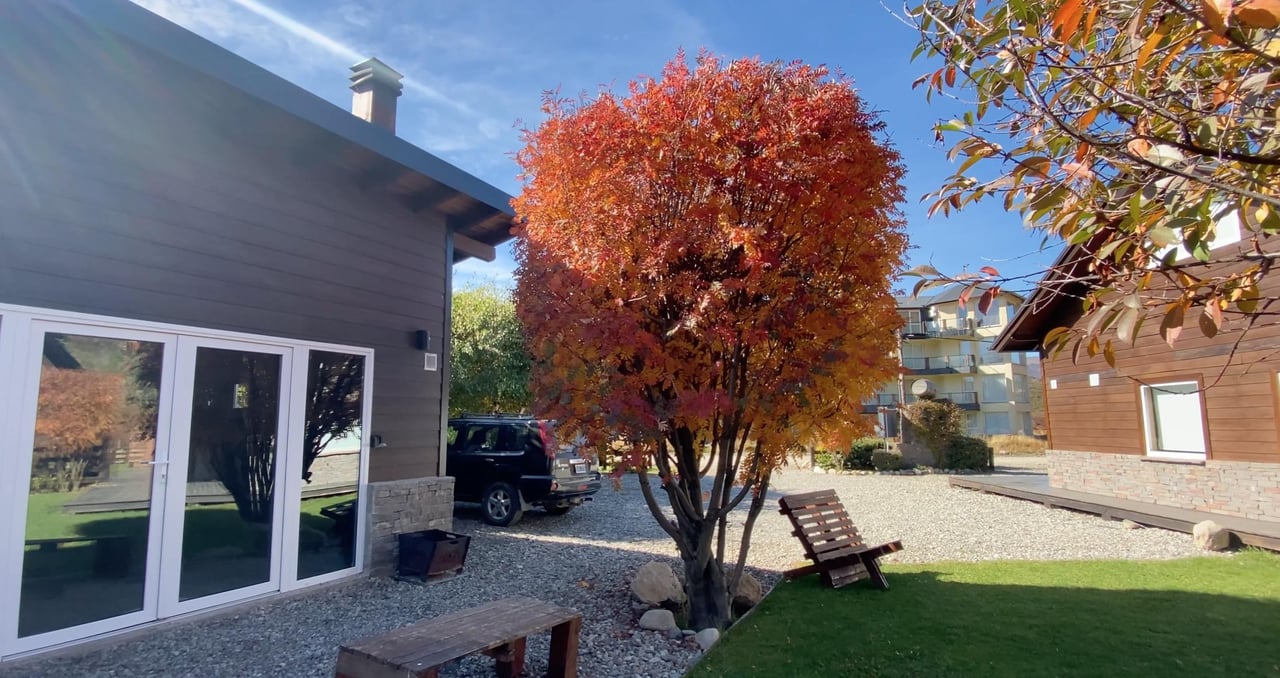 Modern dark-sided buildings surround a courtyard with a red-orange autumn tree and outdoor seating.
